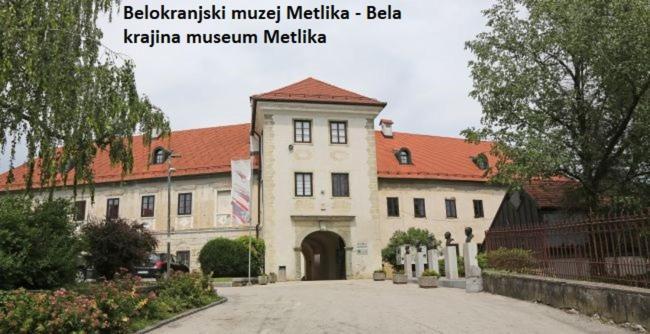 Apartment Ma&Ja With Hot Tub Metlika Exterior foto