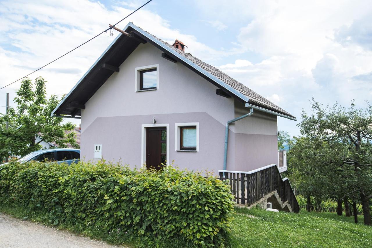 Apartment Ma&Ja With Hot Tub Metlika Exterior foto